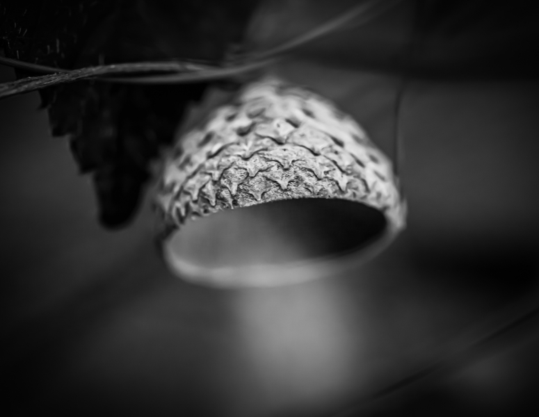 Naturschönheiten in Schwarzweiss