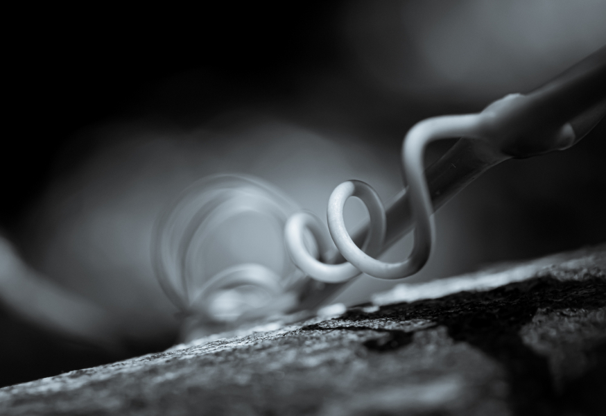 Naturschönheiten in Schwarzweiss